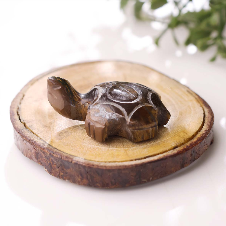 Tiger Eye Small Tortoise Plain