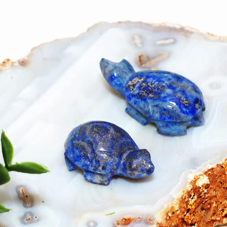 Lapis Small Tortoise Plain