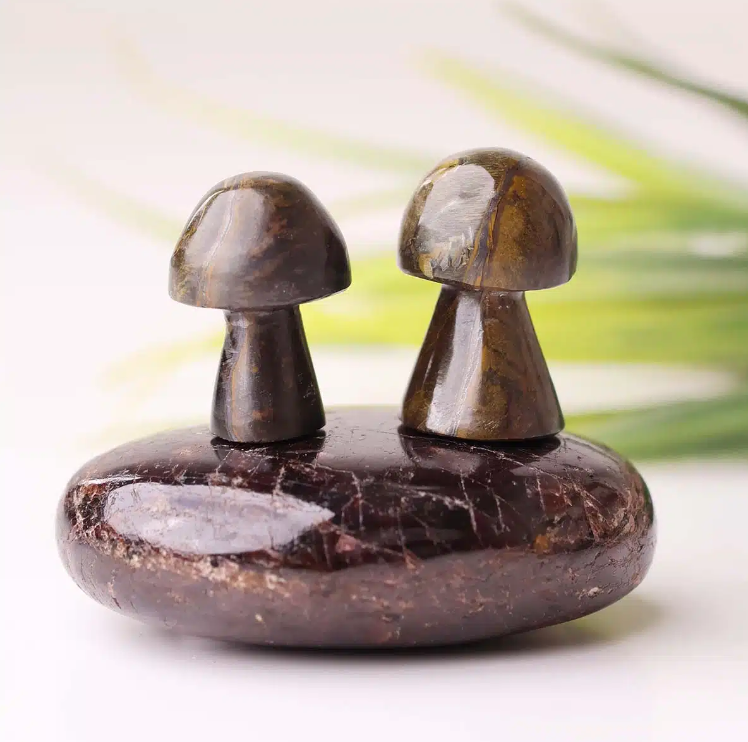 Tiger Eye Mushroom