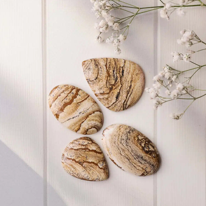 Picture Jasper Cabochon