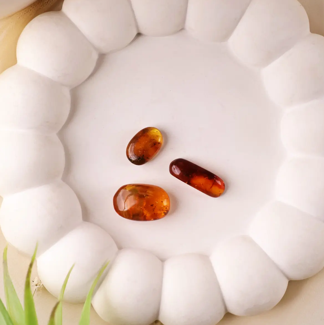 Amber Cabochon With Insect