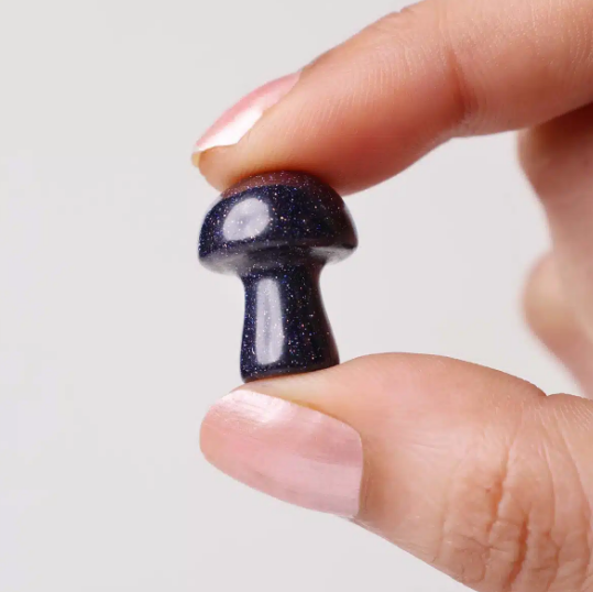 Blue Goldstone Mushroom