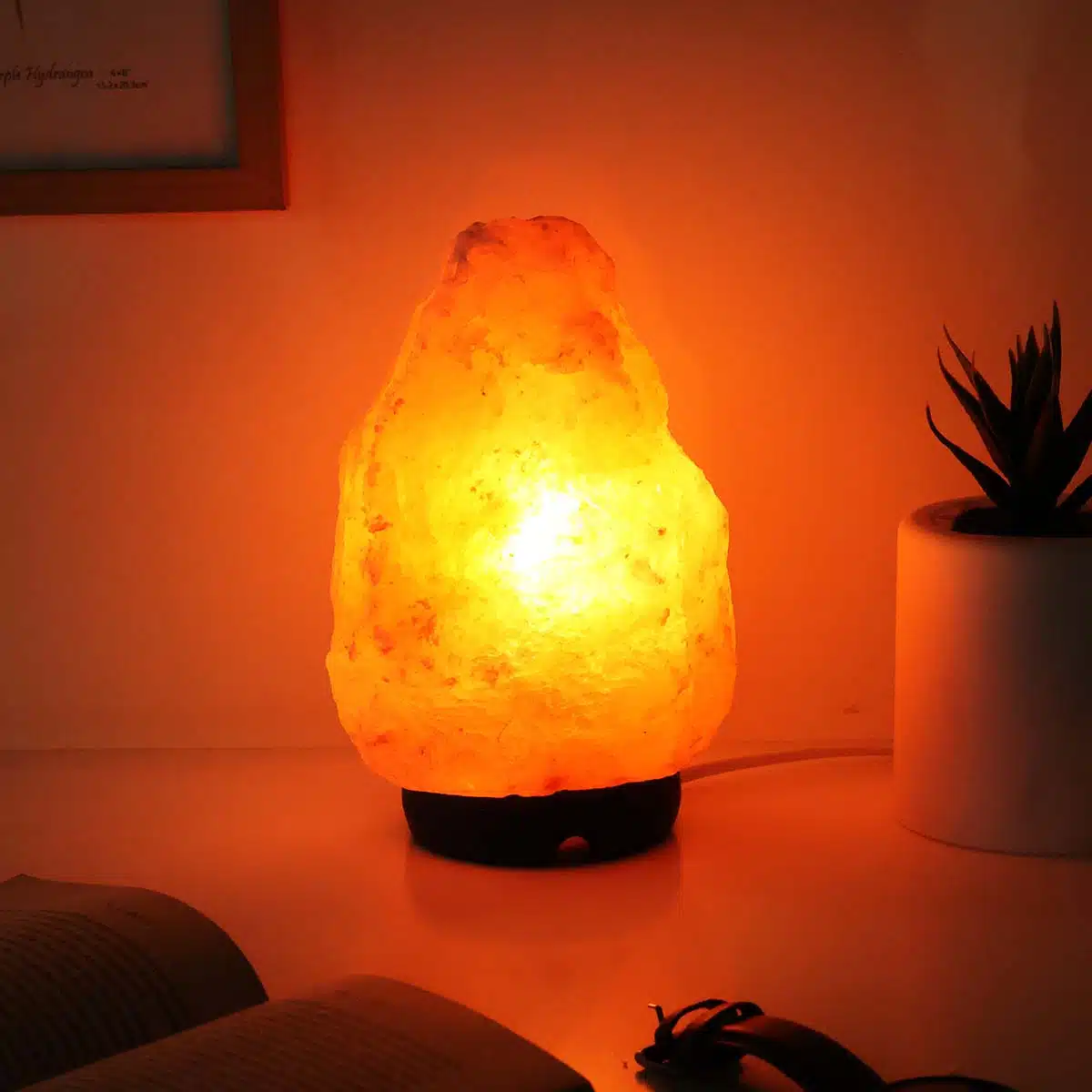 Himalayan Salt Lamp