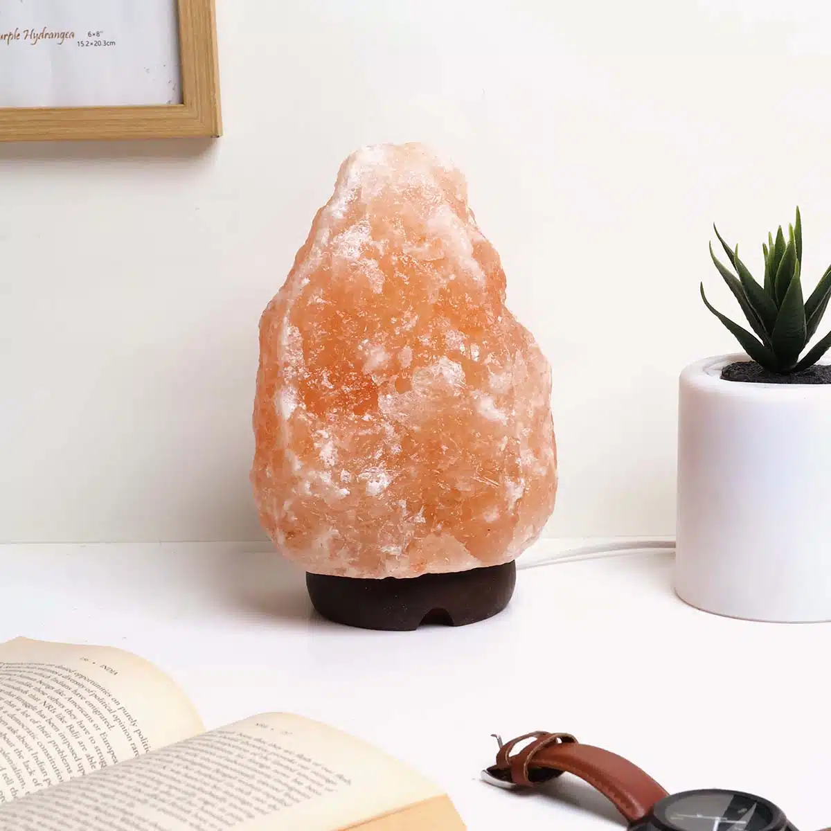 Shubhanjali-Himalayan-Salt-Lamp-2.jpg