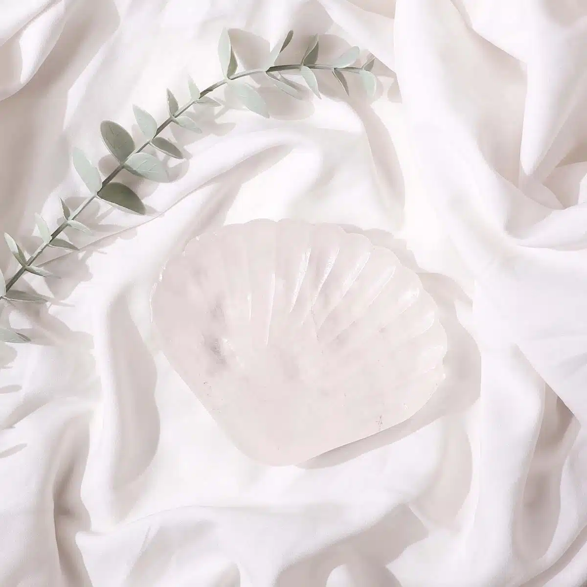 clear-quartz-shell-5.jpg