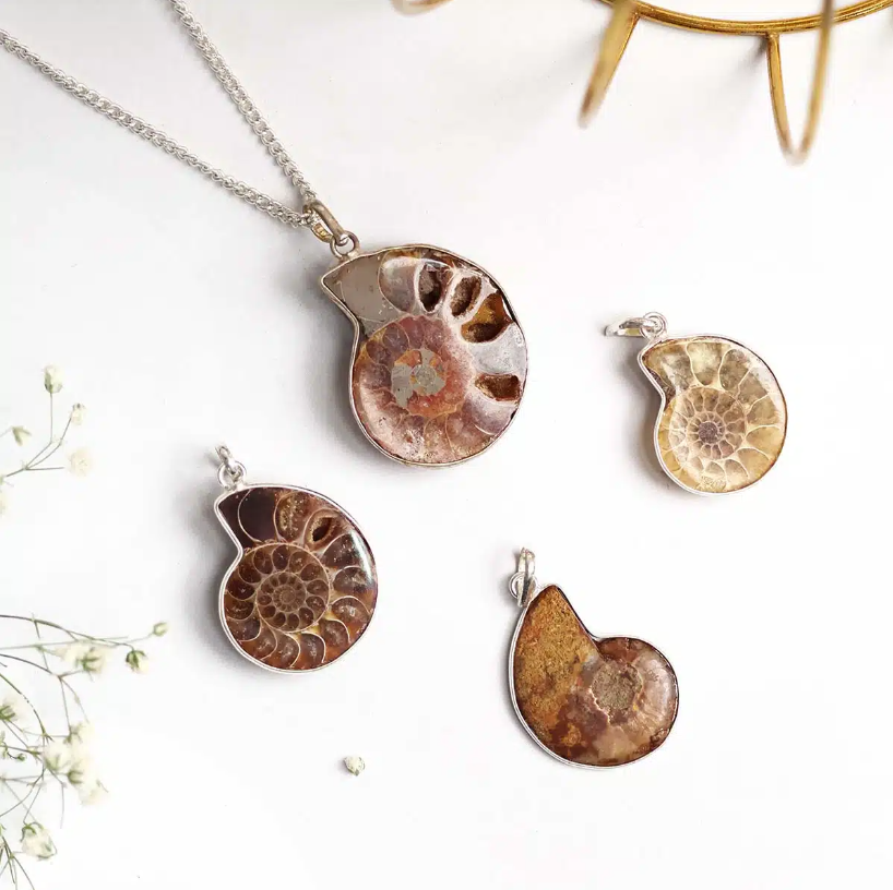 Ammonite Pendant