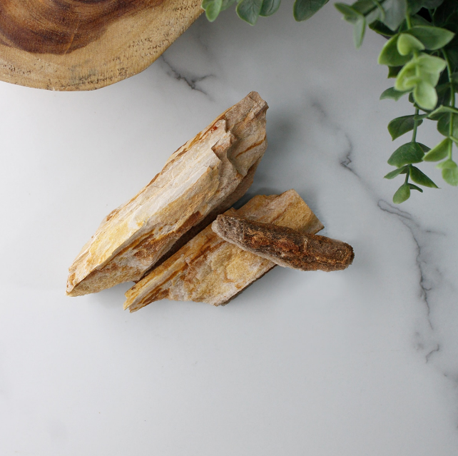 Petrified Wood Raw Stone