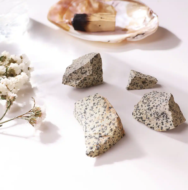 Dalmatian Jasper Raw Stone